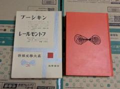 本物 邪悪な皮肉：レールモントフの「現代の英雄」のレトリック 洋書