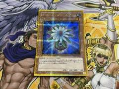 遊戯王 グローアップ・バルブ ゴルシク GP16-JP001