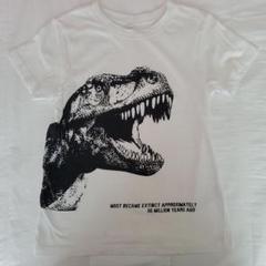 恐竜　Tシャツ　ホワイト　130cm