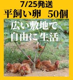 平飼い卵90個7/9常温発送 平飼い卵50個7/25常温発送 - メルカリ