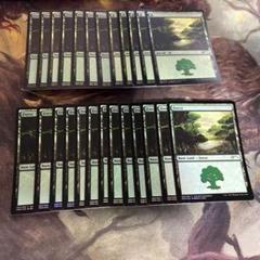 MTG 基本土地 沼 rebecca guay レベッカゲイ MTG 基本土地 森 rebecca guay レベッカゲイ - メルカリ