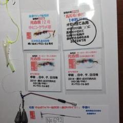 No.692 鮎毛バリ釣り仕掛けセット。鮎毛バリ3本付 オモリ付 鮎