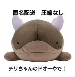 新品未開封 チリちゃんのドオー モウドクキケン ポケモン
