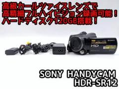 2025年最新】HDR-SR12の人気アイテム - メルカリ