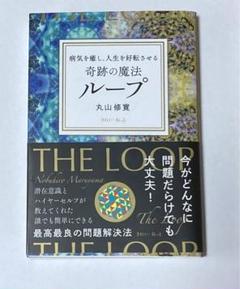 【美品】【ブッダとイエスの魔法のループ】丸山修寛 整体手技 カイロベーシック ブッダとイエスの魔法のループ】丸山修寛 整体手技DVD カイロ