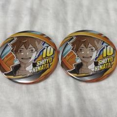 ハイキュー fan park ファンパーク ハイドリ 缶バッジ 日向翔陽 ハイキュー!! ファンパーク FANPARK コレクション缶バッジ 日向