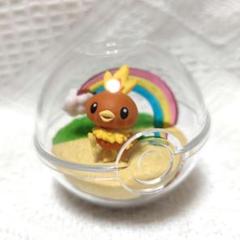 【ポケモン】アチャモ テラリウムコレクション