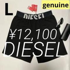 洗練されたデザイン　DIESEL Dylan-D-Pop A17684 L