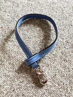 mai　エルベシャプリエ　レザーストラップ エルベシャプリエ Herve Chapelier 1661L (レザーストラップM