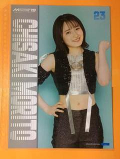 本郷愛　販促用　ポスター　A1サイズ 本郷愛 販促用 ポスター A1サイズ