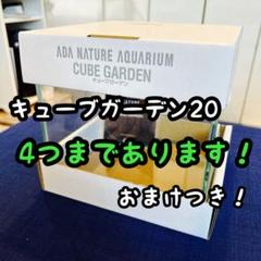 新品未使用水槽　暗所保管　ADA キューブガーデン　60cm×45cm×30cm 新品未使用水槽 暗所保管 ADA キューブガーデン 60cm×45cm×30cm