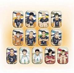 ハイキュー！！缶バッジ セット おすわり版　セブンネット限定 2025年最新】ハイキュー セブンネット おすわりの人気アイテム