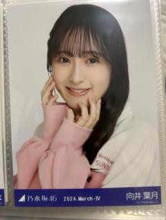 向井葉月　生写真　ラガーシャツ　ヨリ