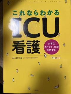 2025年最新】看護 本 icuの人気アイテム - メルカリ