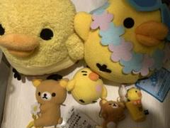 靴下にゃんこ 靴下ニャンコ ノルッチ ぬいぐるみ | Shop at