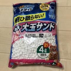 2025年最新】大玉サンド 猫の人気アイテム - メルカリ