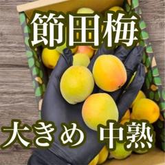 本日残り２箱★クール便★ 山形県産　節田　梅　1.5キロ　大きめ　うめ　中熟のサムネイル
