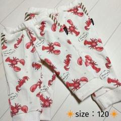 ❇️size 120❇️　エビカニ☆クロップドスウェットパンツ♪　【送料込】