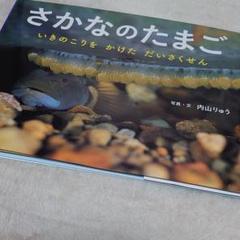 さかなのたまご : いきのこりをかけただいさくせん