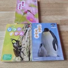 【中古】 ちいさなずかんポッケ いつでもどこでも なつ/Ｇａｋｋｅｎ 中古】 ちいさなずかんポッケ いつでもどこでも むしやくさばな