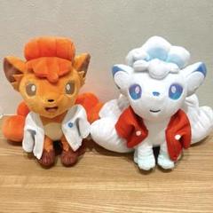 【訳あり】百ポケ夜行のアローラロコン 百ポケ夜行のロコン　ぬいぐるみ2体