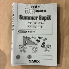 SAPIX6年生算数 夏期講習サマーサピックス18冊セット SAPIX 小6 算数夏期講習教材フルセット（全18回分）/白紙ページ多数