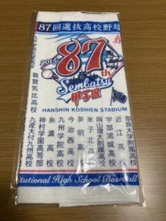 第87回選抜高校野球大会　記念タオルのサムネイル