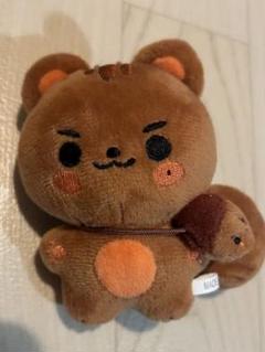 StrayKids 公式グッズ SKZOO PHOTOCARD HOLDER PLUSH フォト