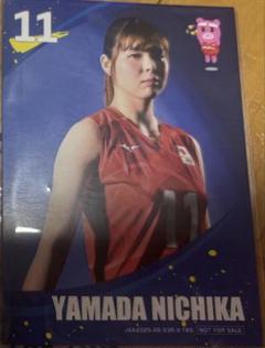 バレーボール　日本代表　秋本美空　直筆サイン入り　フェイスタオル　ヴィクトリーナ バレーボール 日本代表 秋本美空 直筆サイン入り フェイスタオル