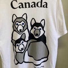 MARC TETRO canada Tシャツ　ハスキー　犬　アニマル