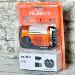 2025年最新】ICF-B09の人気アイテム - メルカリ