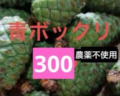 2025年最新】青松ぼっくりの人気アイテム - メルカリ