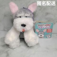 シュナとボブ　お耳たったよ　ぬいぐるみ　マスコット　タグ付き　匿名配送