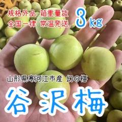 01.常温便【幻の梅】山形県寒河江市産 谷沢梅 箱抜き 10kg 中熟 青梅 01.常温便【幻の梅】山形県寒河江市産 谷沢梅 箱抜き 10kg 中熟 青梅