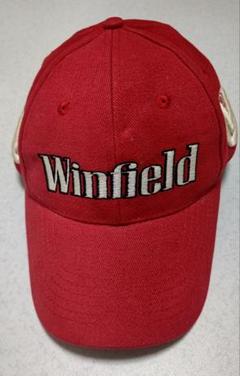 WINFIELD 廃盤「D.R.Y.？」新品・未開封　岩井望　ウィンフィールド 2025年最新】winfieldの人気アイテム - メルカリ