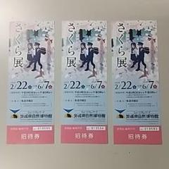 自然博物館 チケット 3枚