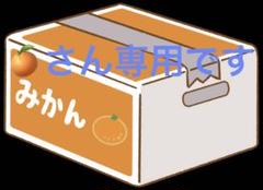 あるみかんさん専用 みかんさん専用です - メルカリ