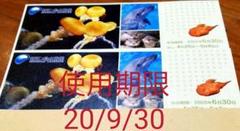 江ノ島水族館チケット2枚!9/30まで有効
