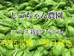 農家直送 新鮮野菜 バジル
