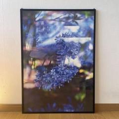 写真加工×斬新な色彩アーティスト・小林健太とは | GOETHE