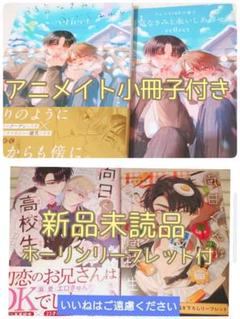 ※特典付　弱気なきみと永いしあわせ reflect/向日くんは高校生　木丈ですく