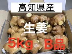 高知県産 生姜 しょうが B品 5kg - メルカリ