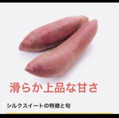 定番の冬ギフト ベニはるか芋苗200本セール - メルカリ 果菜
