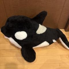 〖エコメルカリ便希望〗鴨川シーワールド・くじ・シャチ・1等 鴨川シーワールド シャチくじ1等 ぬいぐるみ クッション 約80cm