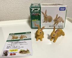 【アニア】【廃盤品】【ウサギポーズ違い2体入り】