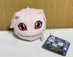 2025年最新】コロモン ぬいぐるみの人気アイテム - メルカリ