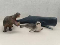 シュライヒ　【廃盤】コククジラ　仔 シュライヒ 【廃盤】コククジラ 仔