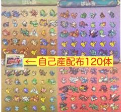 ポケットモンスターY 自己産配布120体　即購入可能