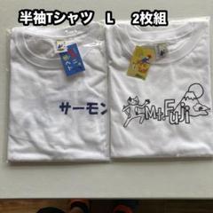 【未開封】 mt.FUJI100 2025 Tシャツ (Sサイズ） タオル付 THE NORTH FACE Mt. FUJI 100 Tシャツ M - メルカリ