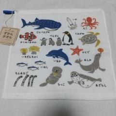 an52 水族館 海の生き物 図鑑 ループ ハンドタオル ジンベエザメ イルカ他のサムネイル